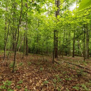 Photo #13 of 45 GLEN EAGLES DR, GORDONSVILLE, VA 0.4 acres