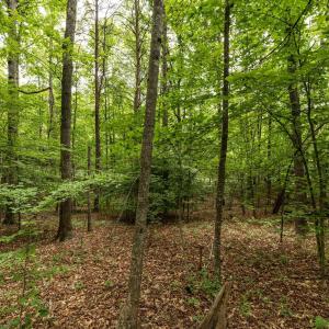Photo #12 of 45 GLEN EAGLES DR, GORDONSVILLE, VA 0.4 acres
