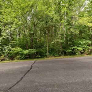 Photo #10 of 45 GLEN EAGLES DR, GORDONSVILLE, VA 0.4 acres