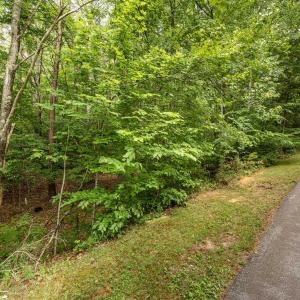 Photo #9 of 45 GLEN EAGLES DR, GORDONSVILLE, VA 0.4 acres