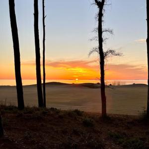 Photo #7 of 119 ABERDEEN WAY, CAPE CHARLES, VA 0.2 acres