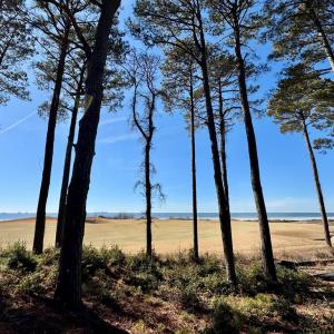 Photo #5 of 119 ABERDEEN WAY, CAPE CHARLES, VA 0.2 acres