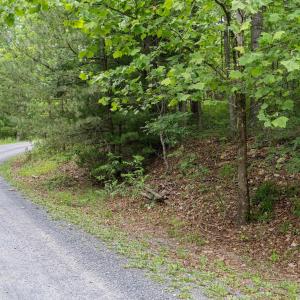 Photo #14 of 5 RABBITS FOOT RD, HINTON, VA 2.5 acres