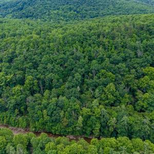 Photo #12 of 5 RABBITS FOOT RD, HINTON, VA 2.5 acres