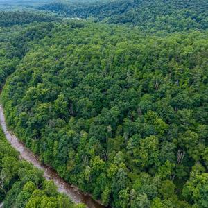 Photo #13 of 5 RABBITS FOOT RD, HINTON, VA 2.5 acres