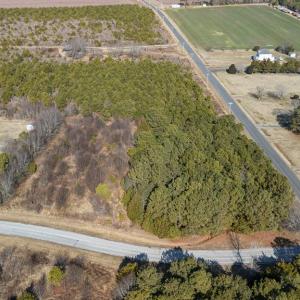 Butlers Bluff and Arlington Rd