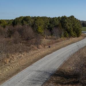 Photo #9 of Lot X BUTLER'S BLUFF DR, CAPE CHARLES, VA 2.0 acres