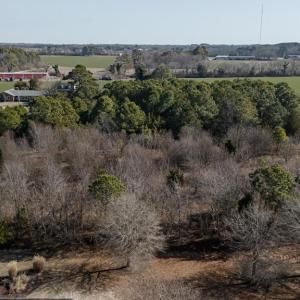 Photo #5 of Lot X BUTLER'S BLUFF DR, CAPE CHARLES, VA 2.0 acres