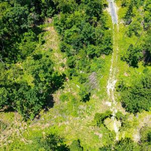 Photo #24 of MORRIS MILL RD, STAUNTON, VA 6.8 acres