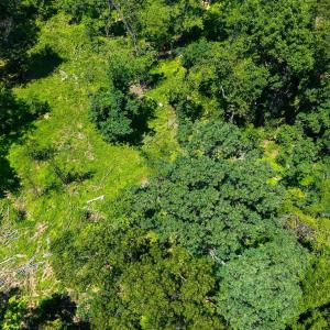 Photo #23 of MORRIS MILL RD, STAUNTON, VA 6.8 acres
