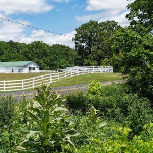Photo #7 of MORRIS MILL RD, STAUNTON, VA 6.8 acres
