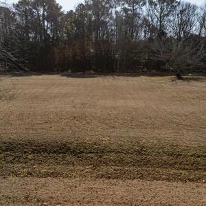 Photo #8 of Lot 31 BUTLER'S BLUFF DR, CAPE CHARLES, VA 1.5 acres