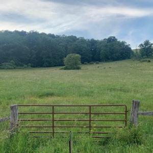 Photo #3 of TBD 2 JACKSON RIVER RD, MONTEREY, VA 20.7 acres