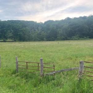 Photo #2 of TBD 2 JACKSON RIVER RD, MONTEREY, VA 20.7 acres