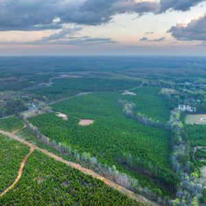 Photo #23 of EVERGREEN CHURCH RD, PALMYRA, VA 42.6 acres