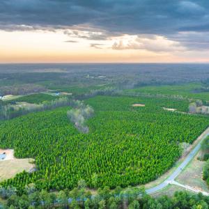 Photo #25 of EVERGREEN CHURCH RD, PALMYRA, VA 42.6 acres