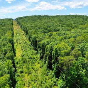 Photo #20 of MT ALTO RD, ESMONT, VA 43.0 acres