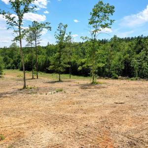 Photo #15 of MT ALTO RD, ESMONT, VA 43.0 acres
