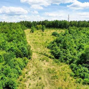Photo #27 of MT ALTO RD, ESMONT, VA 43.0 acres