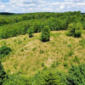 Photo #23 of MT ALTO RD, ESMONT, VA 43.0 acres