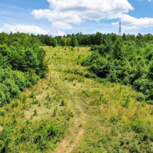 Photo #9 of MT ALTO RD, ESMONT, VA 43.0 acres