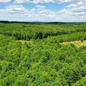 Photo #22 of MT ALTO RD, ESMONT, VA 43.0 acres