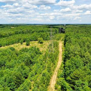 Photo #1 of MT ALTO RD, ESMONT, VA 43.0 acres