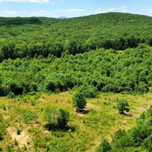 Photo #5 of MT ALTO RD, ESMONT, VA 43.0 acres