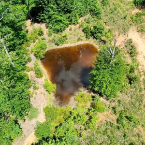 Photo #25 of MT ALTO RD, ESMONT, VA 43.0 acres