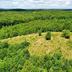 Photo #2 of MT ALTO RD, ESMONT, VA 43.0 acres