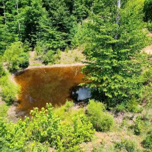 Photo #26 of MT ALTO RD, ESMONT, VA 43.0 acres