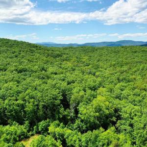 Photo #6 of MT ALTO RD, ESMONT, VA 43.0 acres