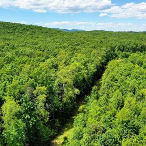 Photo #21 of MT ALTO RD, ESMONT, VA 43.0 acres