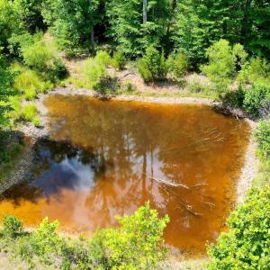 Photo #8 of MT ALTO RD, ESMONT, VA 43.0 acres