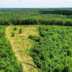 Photo #24 of MT ALTO RD, ESMONT, VA 43.0 acres