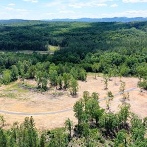 Photo #11 of MT ALTO RD, ESMONT, VA 43.0 acres