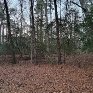 Photo #2 of Lot 7A1 WILSONIA SHORES DR, MACHIPONGO, VA 1.6 acres