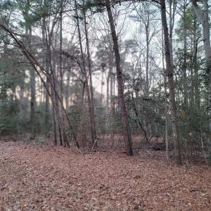 Photo #3 of Lot 7A1 WILSONIA SHORES DR, MACHIPONGO, VA 1.6 acres