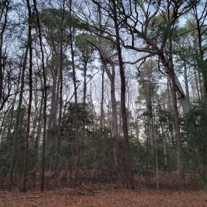 Photo #4 of Lot 7A1 WILSONIA SHORES DR, MACHIPONGO, VA 1.6 acres