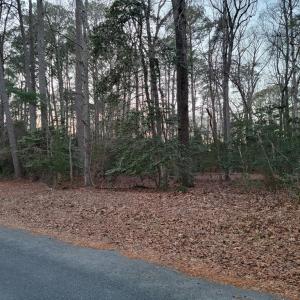 Photo #5 of Lot 7A1 WILSONIA SHORES DR, MACHIPONGO, VA 1.6 acres