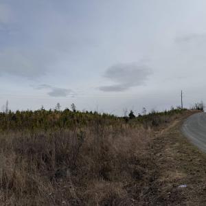 Photo #12 of TBD COMMUNITY HOUSE RD, KENTS STORE, VA 35.0 acres