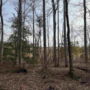 Photo #21 of TBD COMMUNITY HOUSE RD, KENTS STORE, VA 35.0 acres