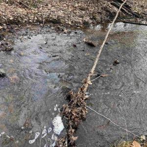 Photo #28 of TBD COMMUNITY HOUSE RD, KENTS STORE, VA 35.0 acres