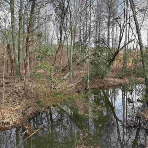 Photo #14 of TBD COMMUNITY HOUSE RD, KENTS STORE, VA 35.0 acres