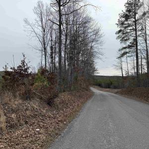 Photo #7 of TBD COMMUNITY HOUSE RD, KENTS STORE, VA 35.0 acres