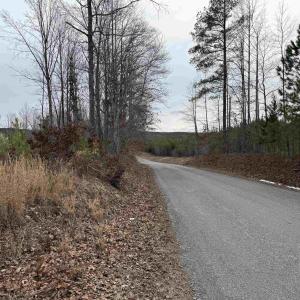 Photo #4 of TBD COMMUNITY HOUSE RD, KENTS STORE, VA 35.0 acres