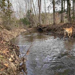 Photo #27 of TBD COMMUNITY HOUSE RD, KENTS STORE, VA 35.0 acres