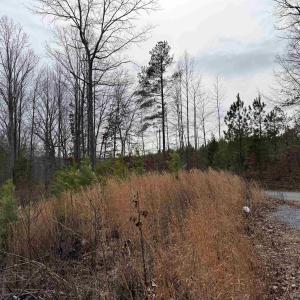 Photo #2 of TBD COMMUNITY HOUSE RD, KENTS STORE, VA 35.0 acres