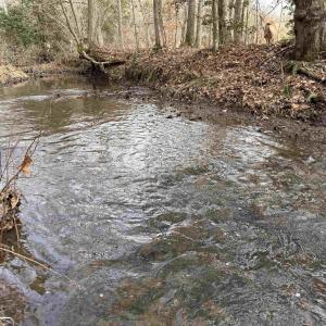 Photo #26 of TBD COMMUNITY HOUSE RD, KENTS STORE, VA 35.0 acres