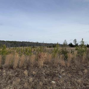 Photo #25 of TBD COMMUNITY HOUSE RD, KENTS STORE, VA 35.0 acres